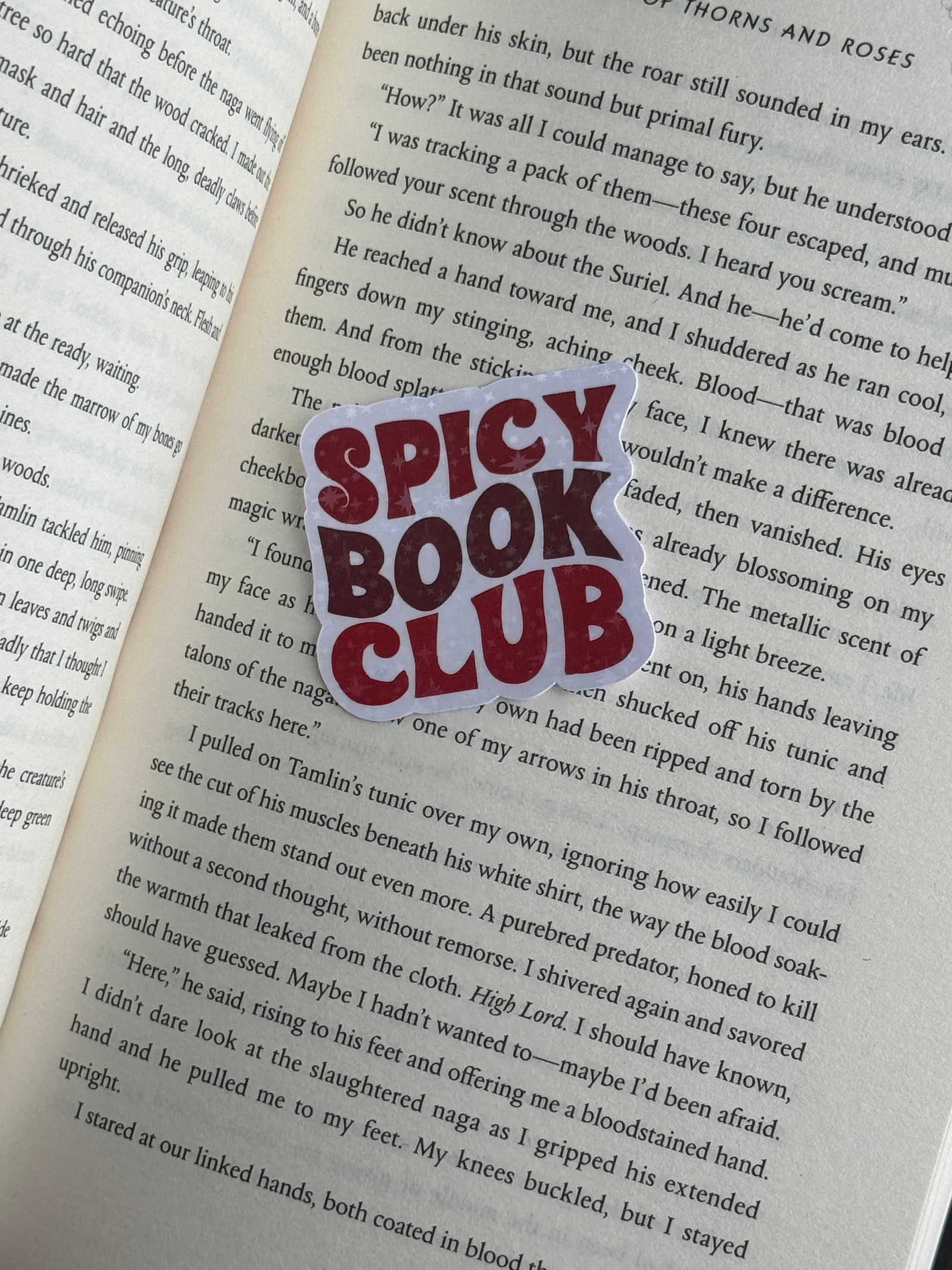 Spicy Book Club sticker | bookish, FBAA, ACOTAR, booktok, book gift, book girl, reader, fantasy, romantasy, kindle sticker, fourth wing, fae