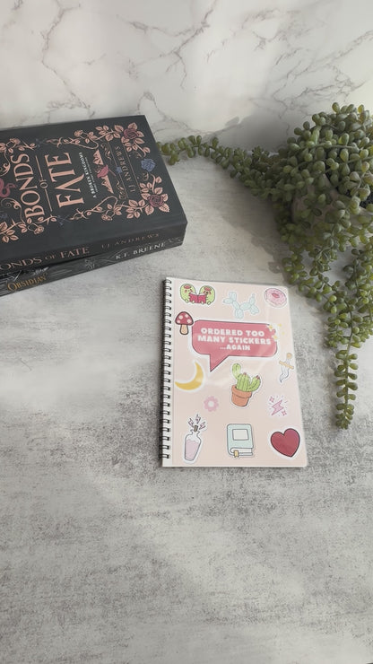 Reusable sticker book and organizer