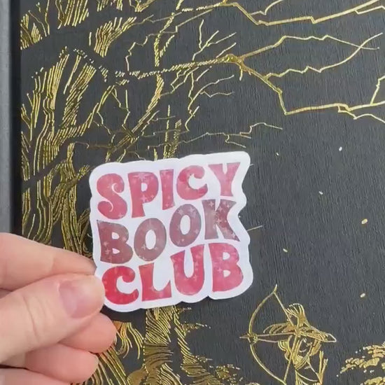 Spicy Book Club sticker | bookish, FBAA, ACOTAR, booktok, book gift, book girl, reader, fantasy, romantasy, kindle sticker, fourth wing, fae